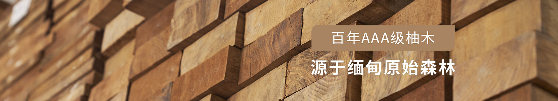木門(mén)定制